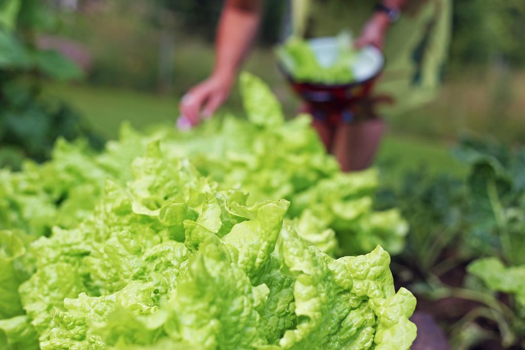 Furudal Naesets Marcusgard 빌라 외부 사진